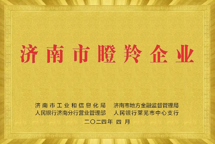 濟南市瞪羚企業(yè)